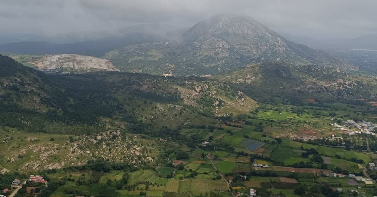 Full-Spectrum vs. Broad-Spectrum vs. Isolate CBD: Which Is Right for You?