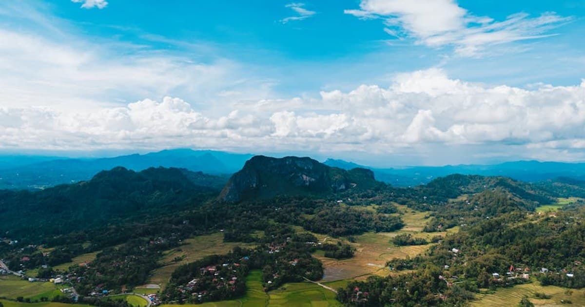 What Are Cannabinoids? A Deep Dive into THC, CBD, CBN, CBG, and More