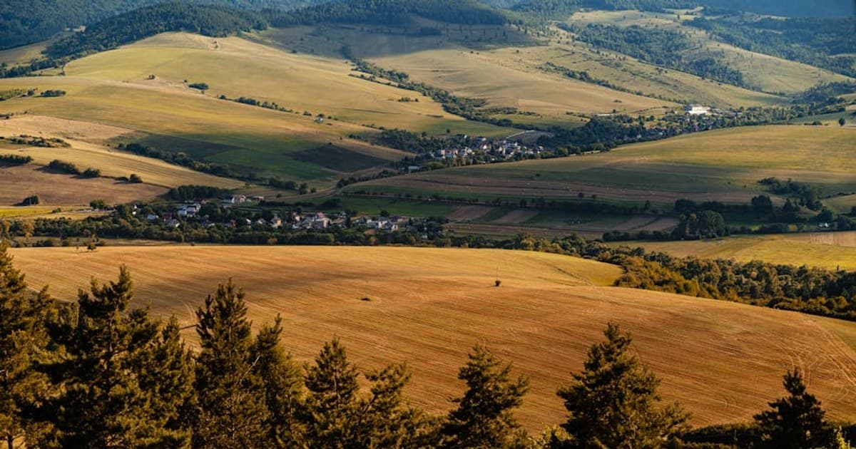 Cannabis and Mental Health: Benefits, Risks, and What We Know