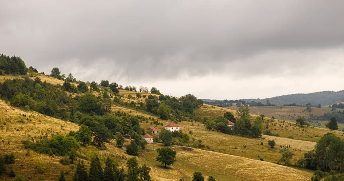 CBD Oil Benefits: What the Research Supports (and What It Doesn't)