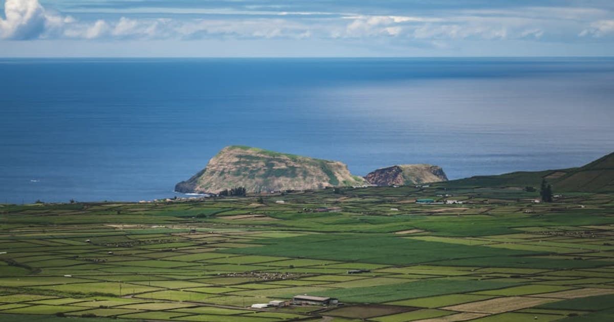 Cannabis for Chronic Pain: What the Science Says