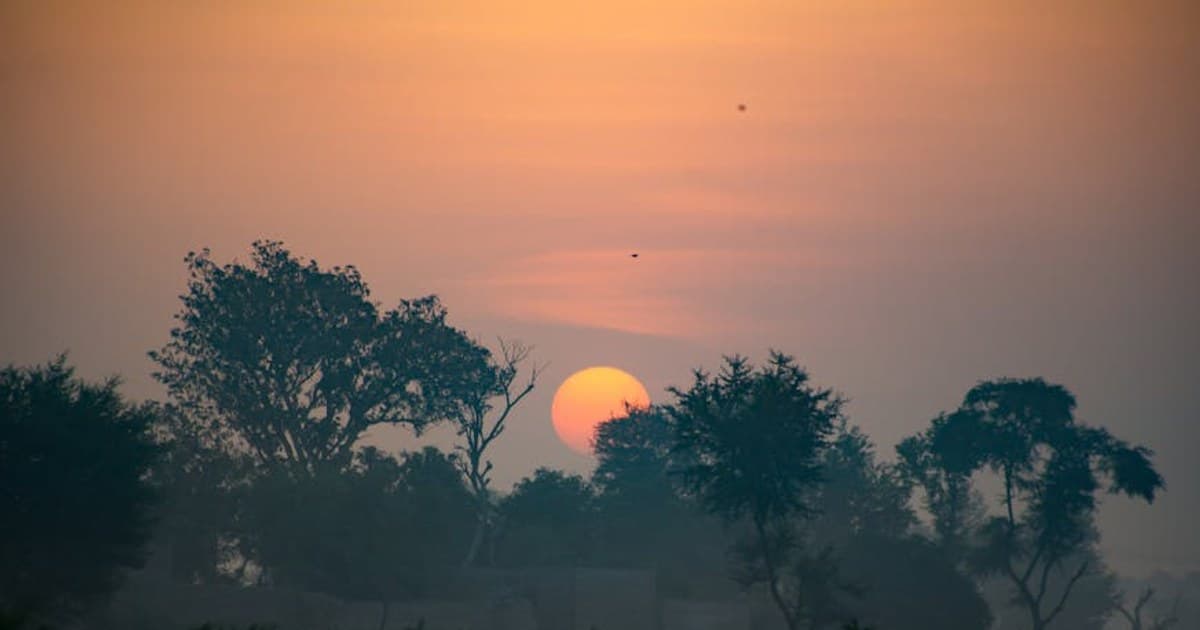 Cannabis for Anxiety: Does It Help or Make It Worse?