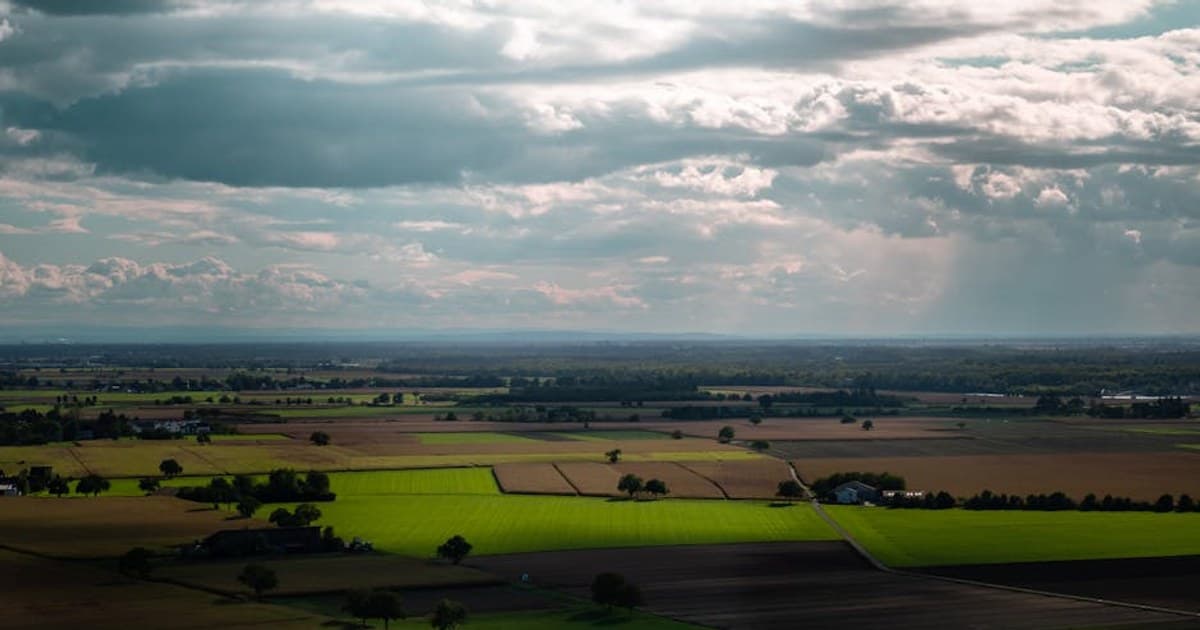 How Long Does a Cannabis High Last? Factors That Affect Duration