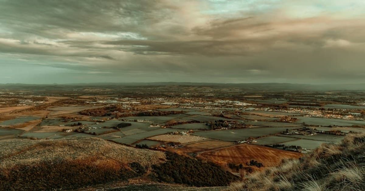 What to Do If You've Had Too Much Cannabis (Greening Out)