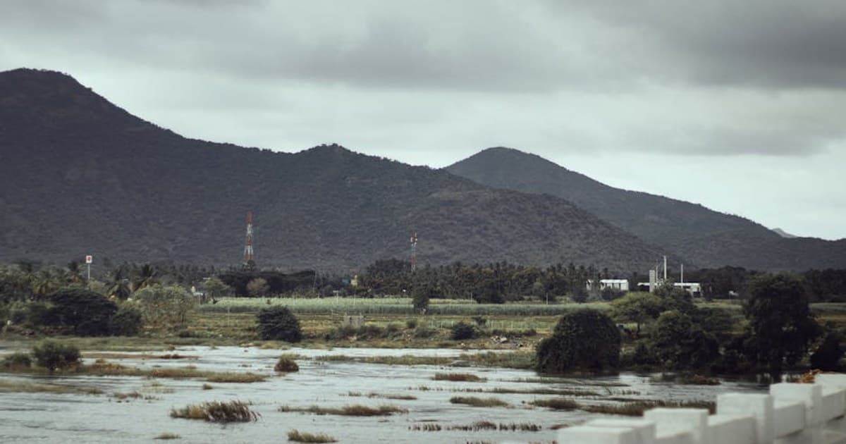 Cannabis Dosing Guide: How Much Should You Take?