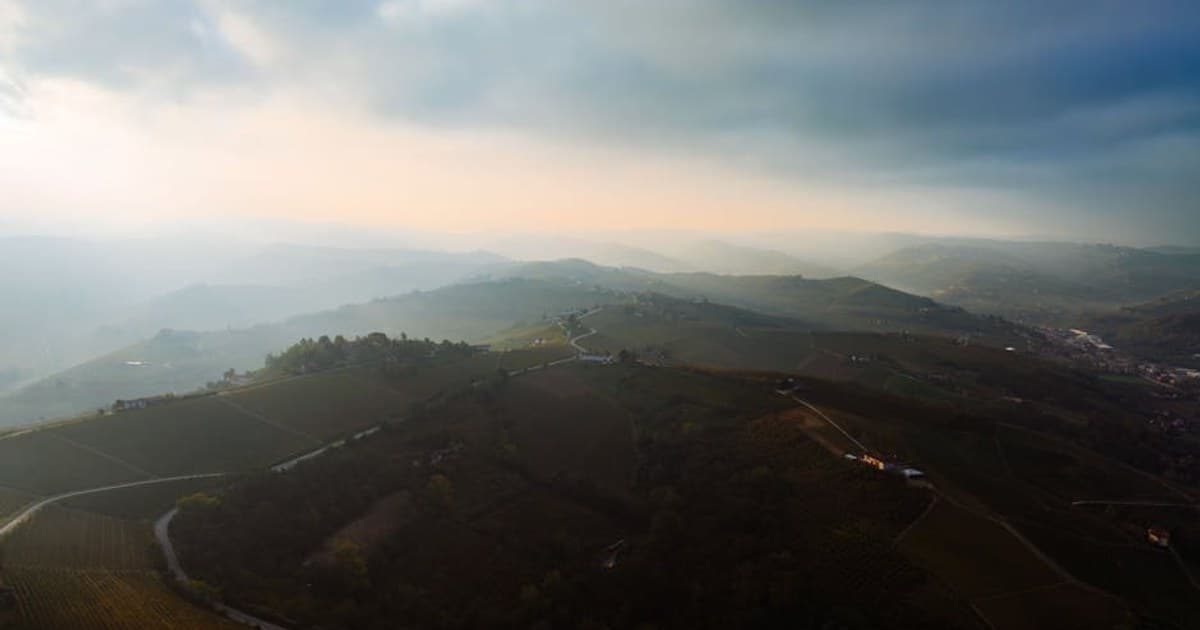 THC Beverages: The Rise of Cannabis-Infused Drinks