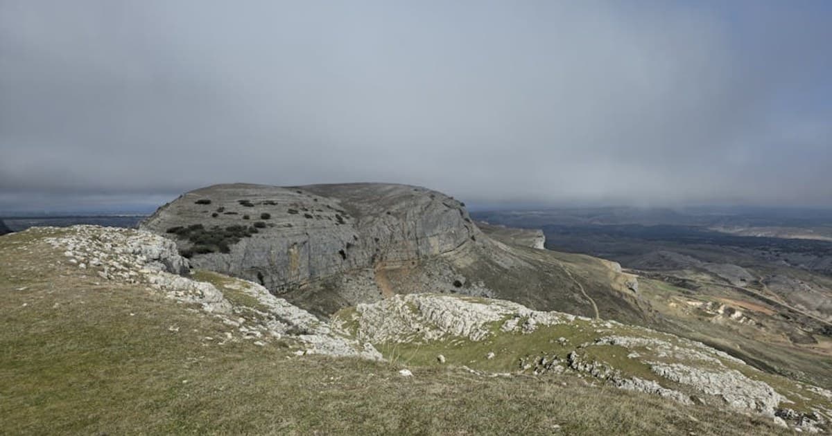 Vaping Cannabis: Pros, Cons, and How to Get Started