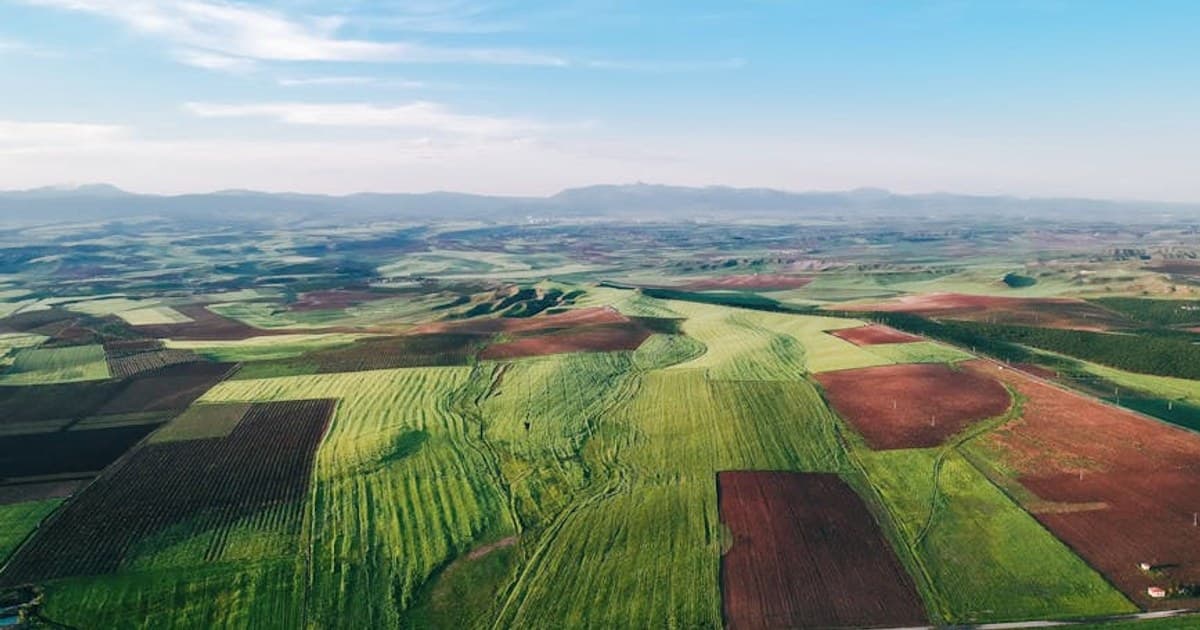 Edibles 101: How They Work, Dosing Tips, and What to Expect