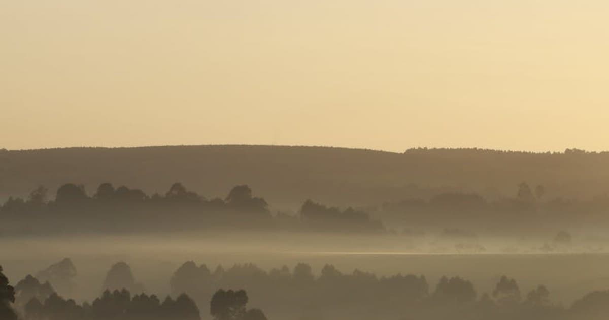 Cannabis Consumption Methods Compared: Smoking, Vaping, Edibles, and More