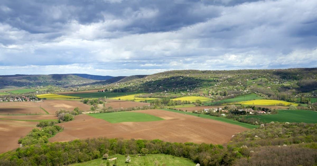 Cannabis for Beginners: What to Know Before Your First Time