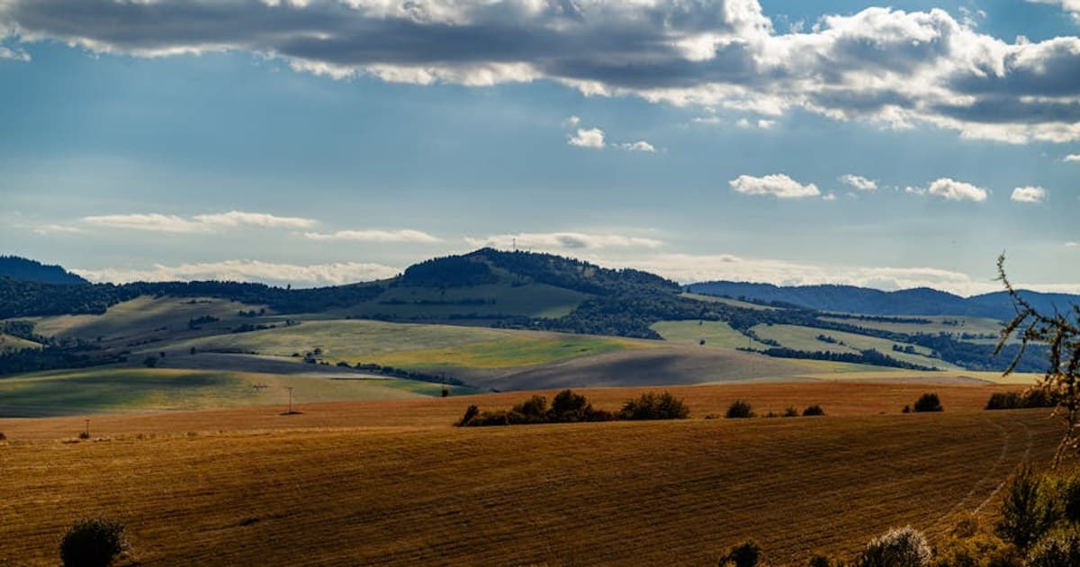 Sativa vs. Indica vs. Hybrid: What's the Real Difference?