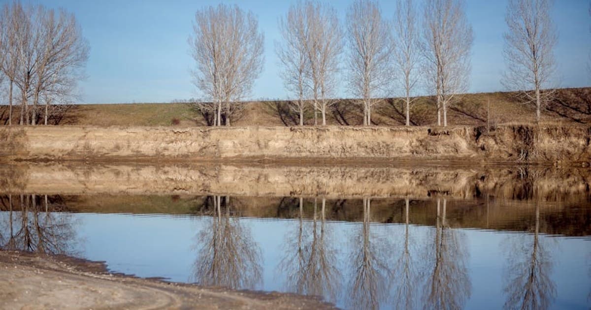 What Is Cannabis? A Complete Beginner's Guide