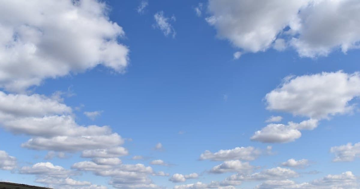 Cannabis Research: Breakthroughs and What Scientists Are Studying Now