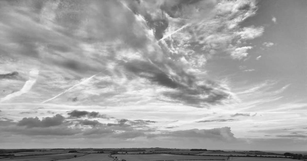 Personalized Cannabis: How Technology Is Tailoring the Experience