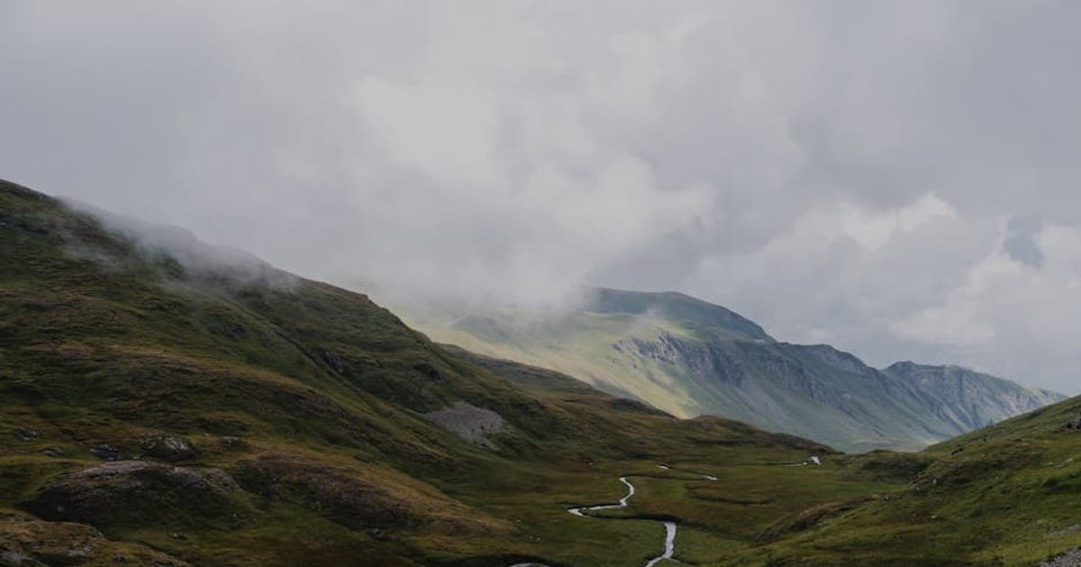 Cannabis Banking and the SAFE Act: Why It Matters for the Industry