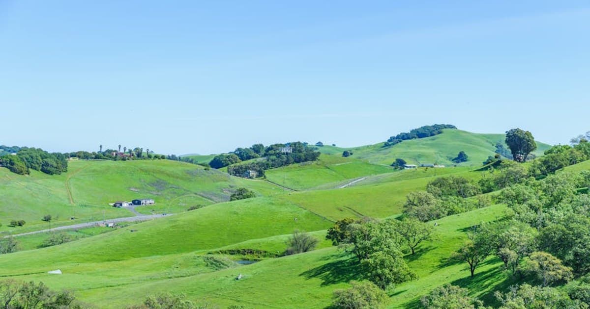 Cannabis Taxes Explained: How Much You're Really Paying and Why