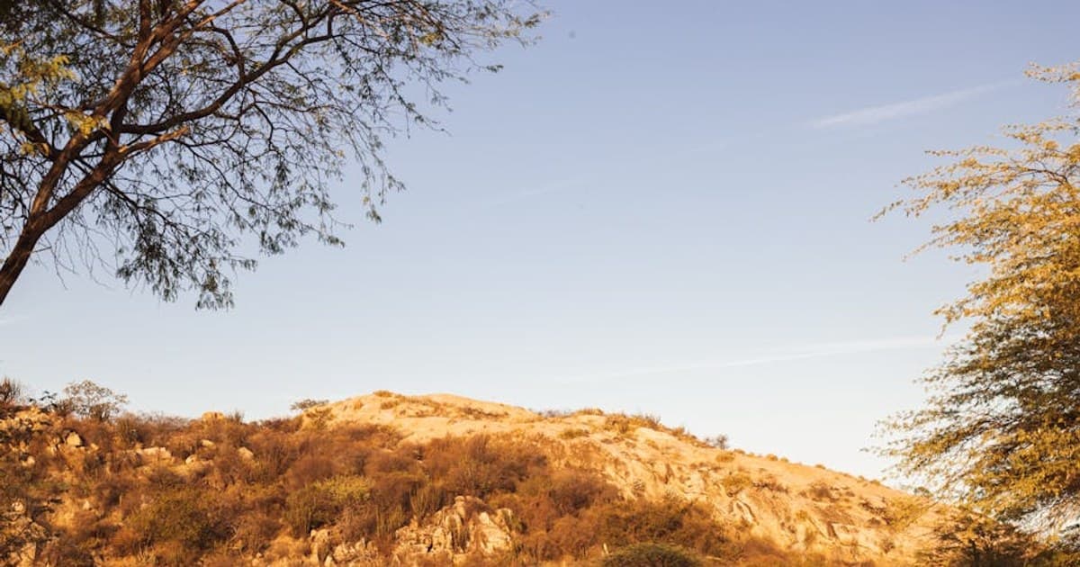 Cannabis Careers: Fast-Growing Jobs and How to Break Into the Industry