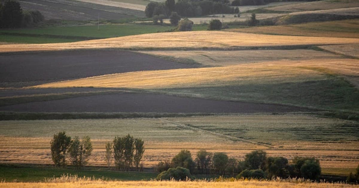 Cannabis Lab Testing: How Products Are Tested for Safety and Potency