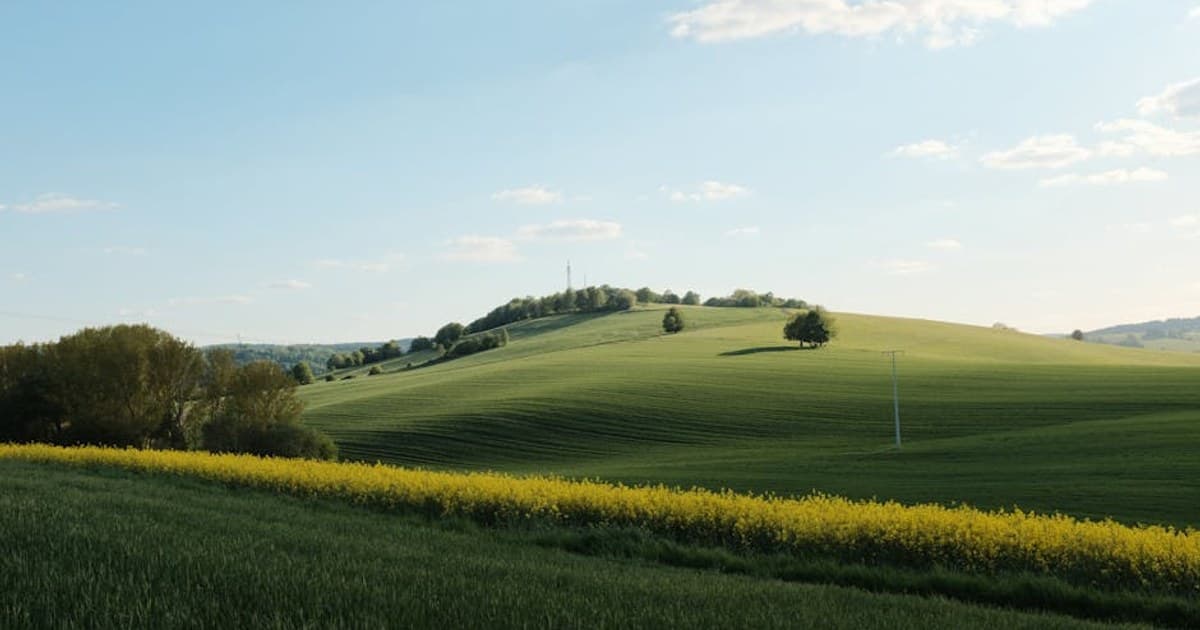 How to Store Cannabis Properly: Keep Your Flower Fresh Longer