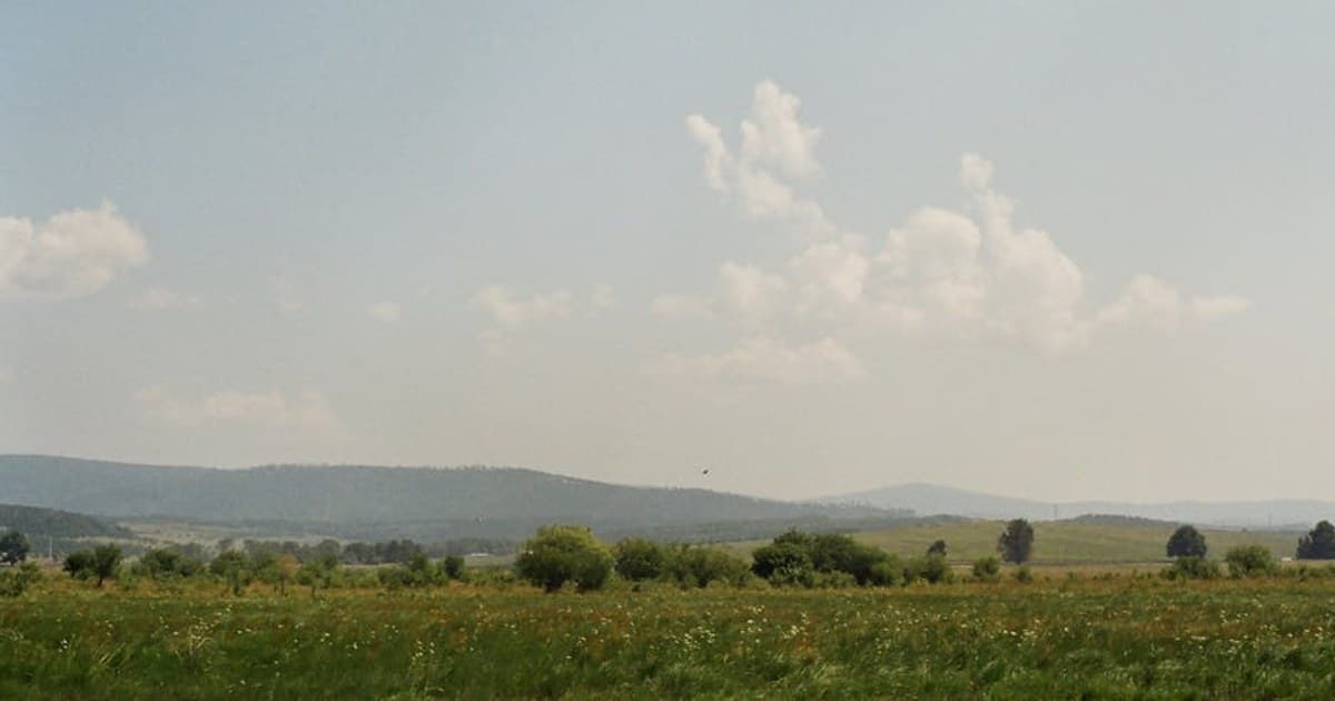 Organic vs. Conventional Cannabis: Does Growing Method Affect Quality?