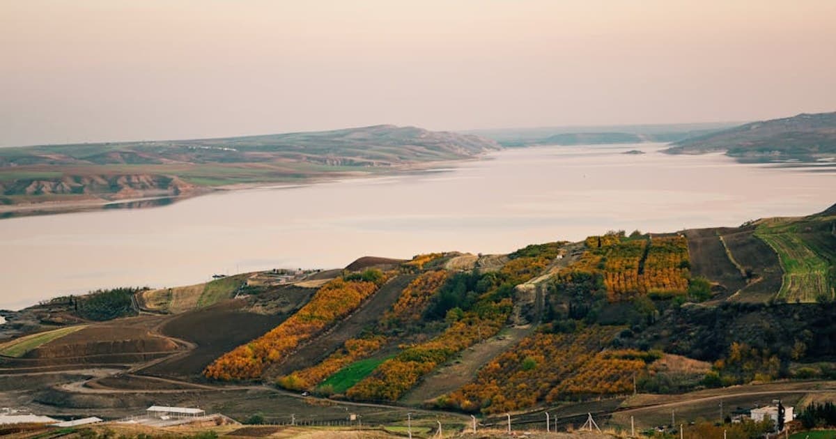 Indoor vs. Outdoor Cannabis Growing: Pros, Cons, and Key Differences