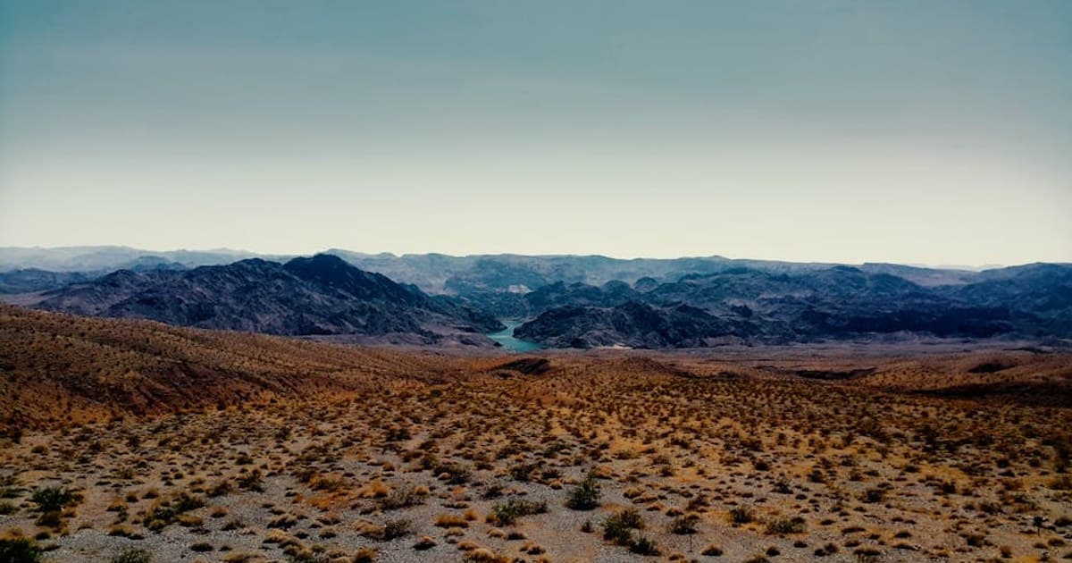 Cannabis and Opioid Reduction: What the Studies Show