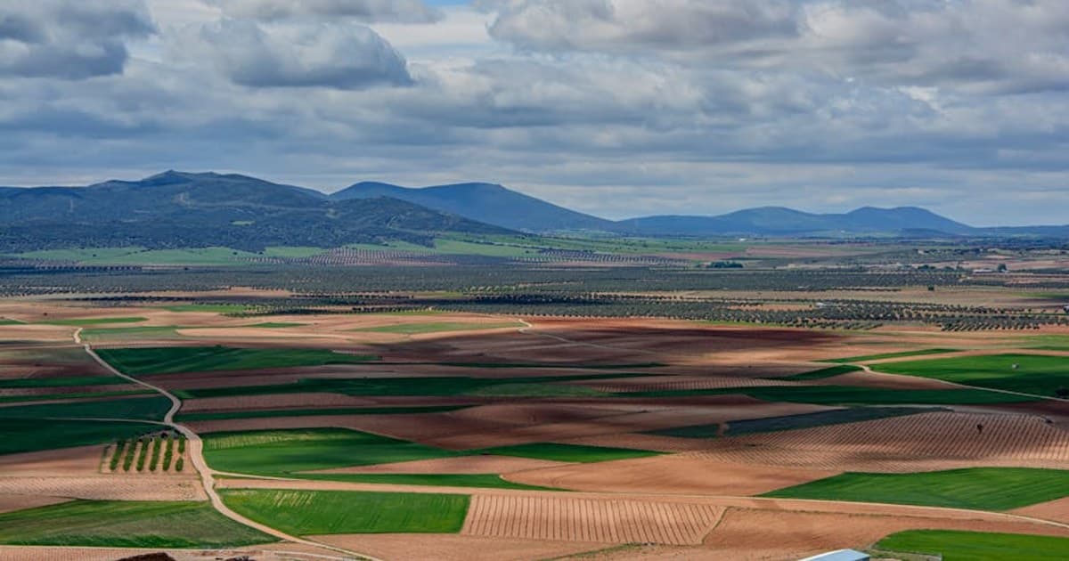 Medical vs. Recreational Cannabis: Is There Really a Difference?