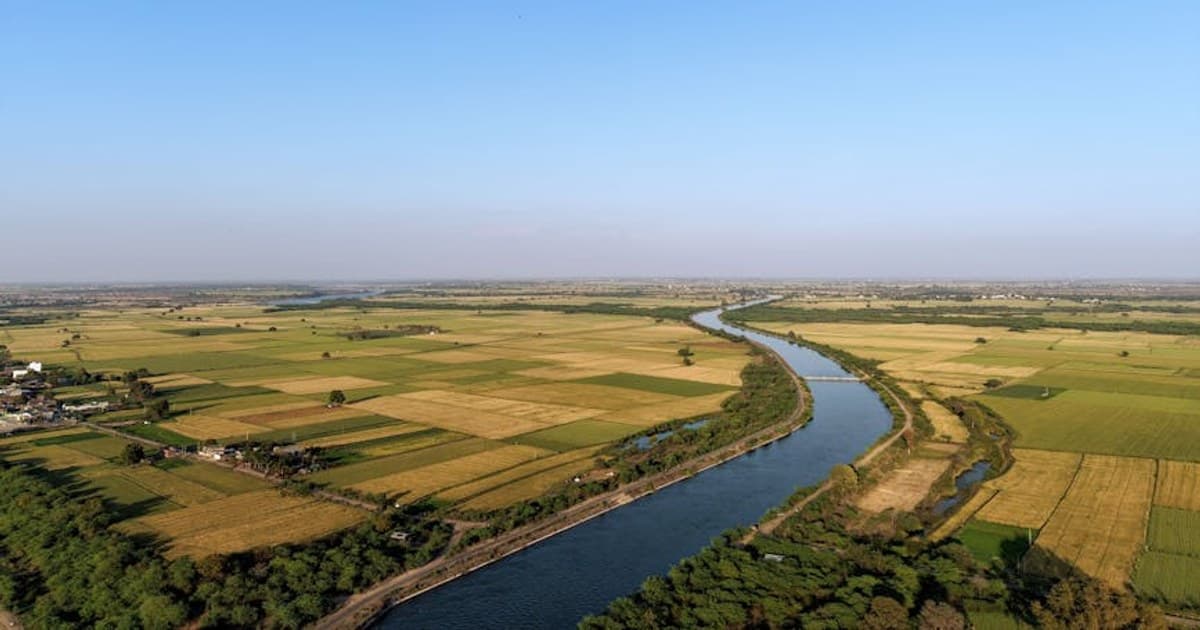 Cannabis for Arthritis: Research on Cannabinoids and Joint Pain