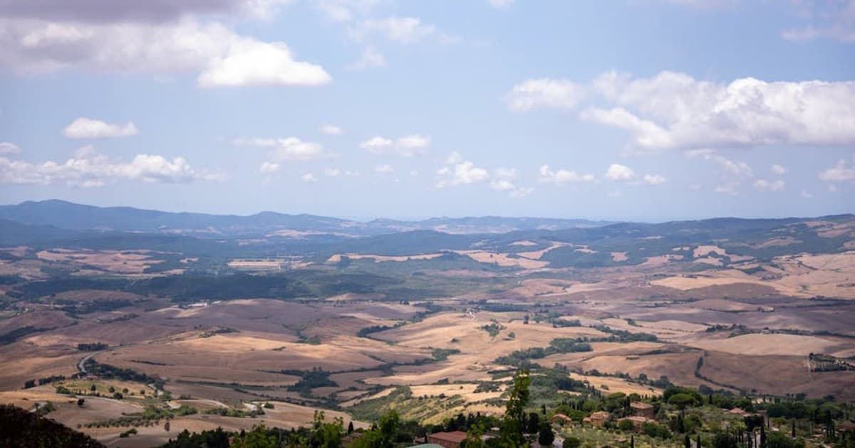 Cannabis and Epilepsy: How CBD Became an FDA-Approved Treatment