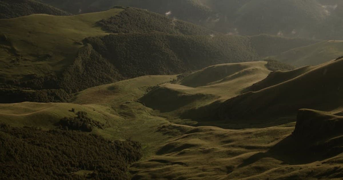 Cannabis for Cancer Patients: Managing Side Effects and Symptom Relief