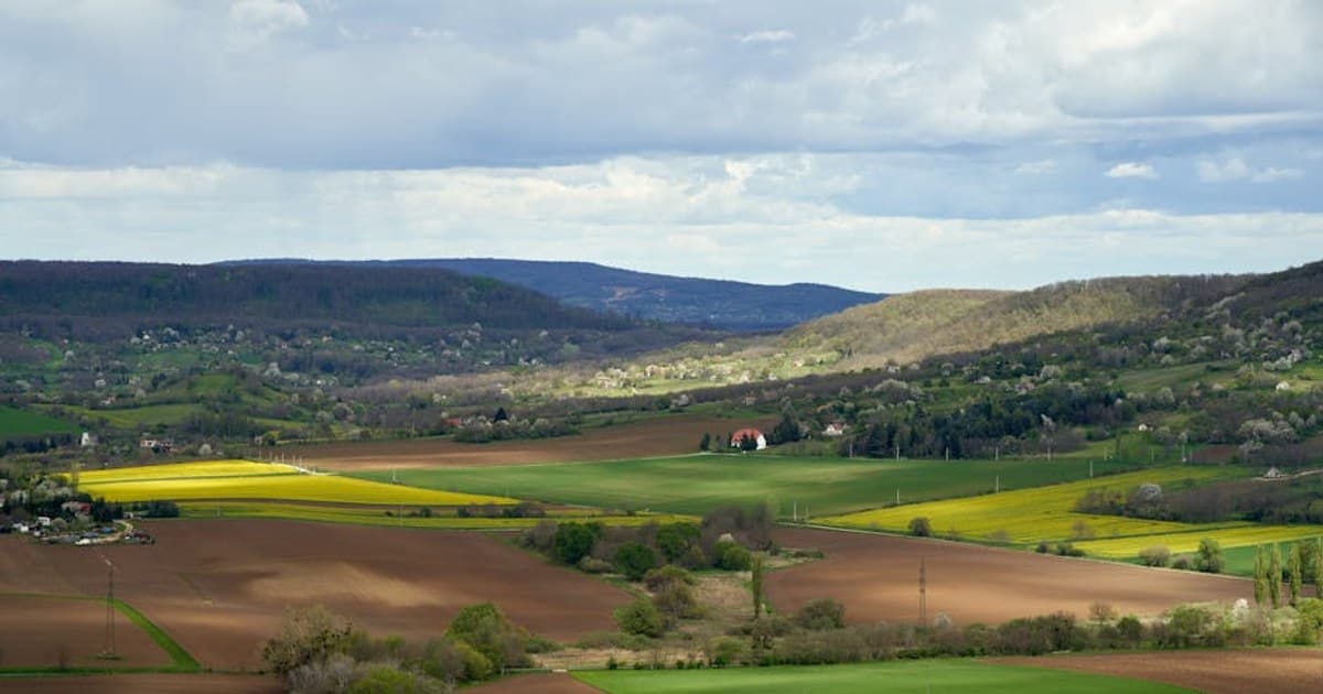 Cannabis and Creativity: What the Science Says About the Connection