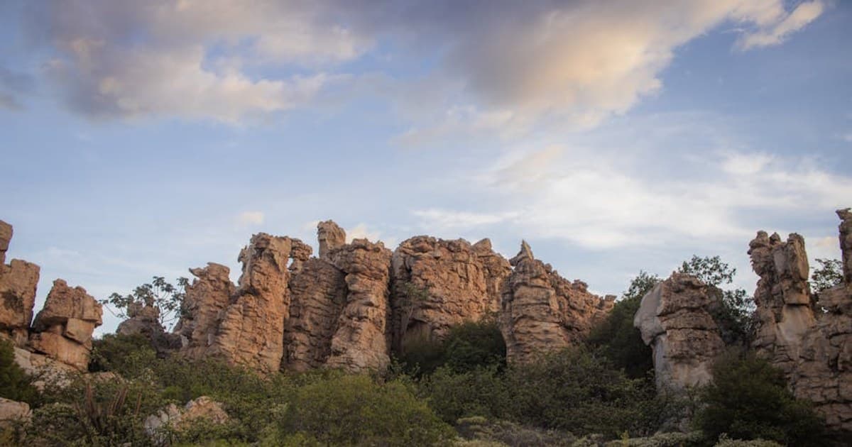Cooking with Cannabis: Beginner Recipes and Dosing Tips for Edibles at Home