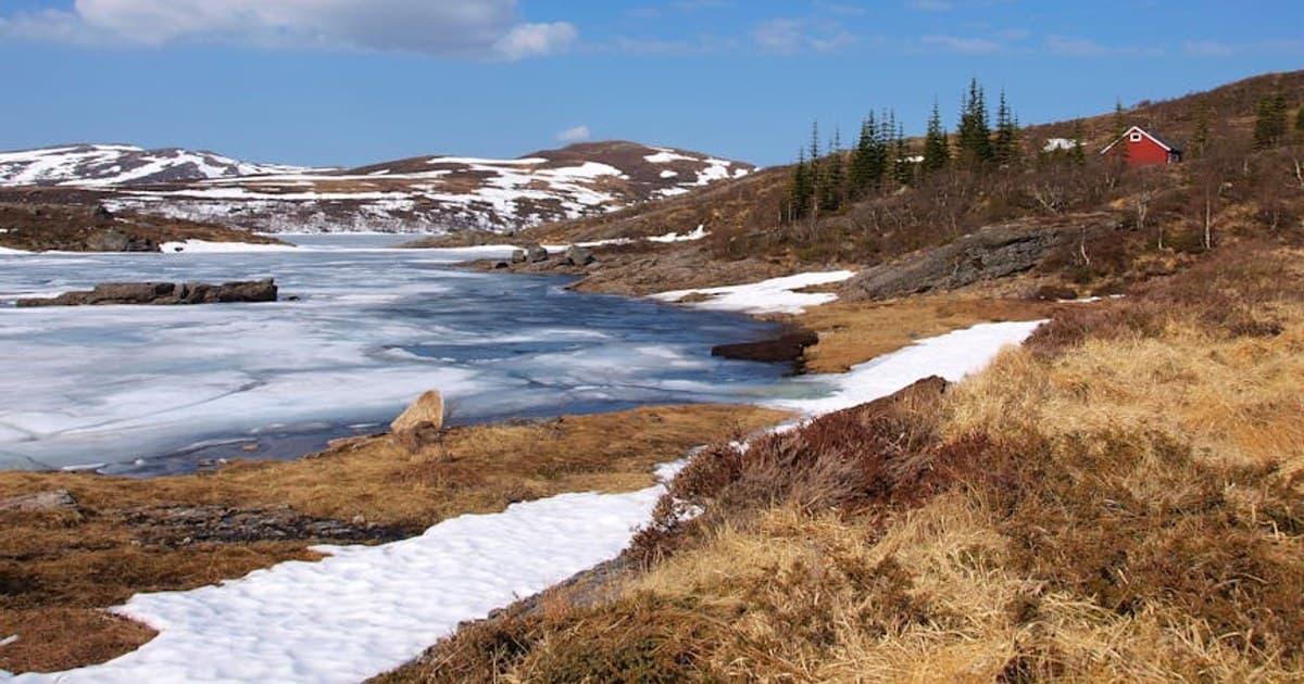 Cannabis-Friendly Tourism: Top Destinations and What to Know