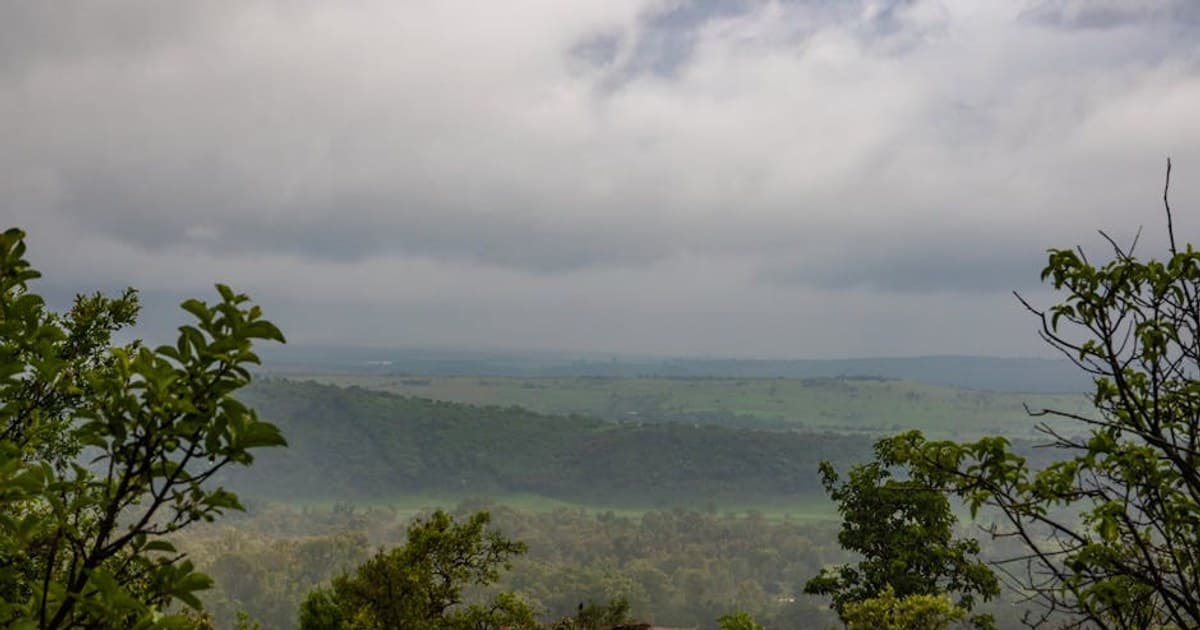 How to Choose Quality Cannabis Flower: What to Look For