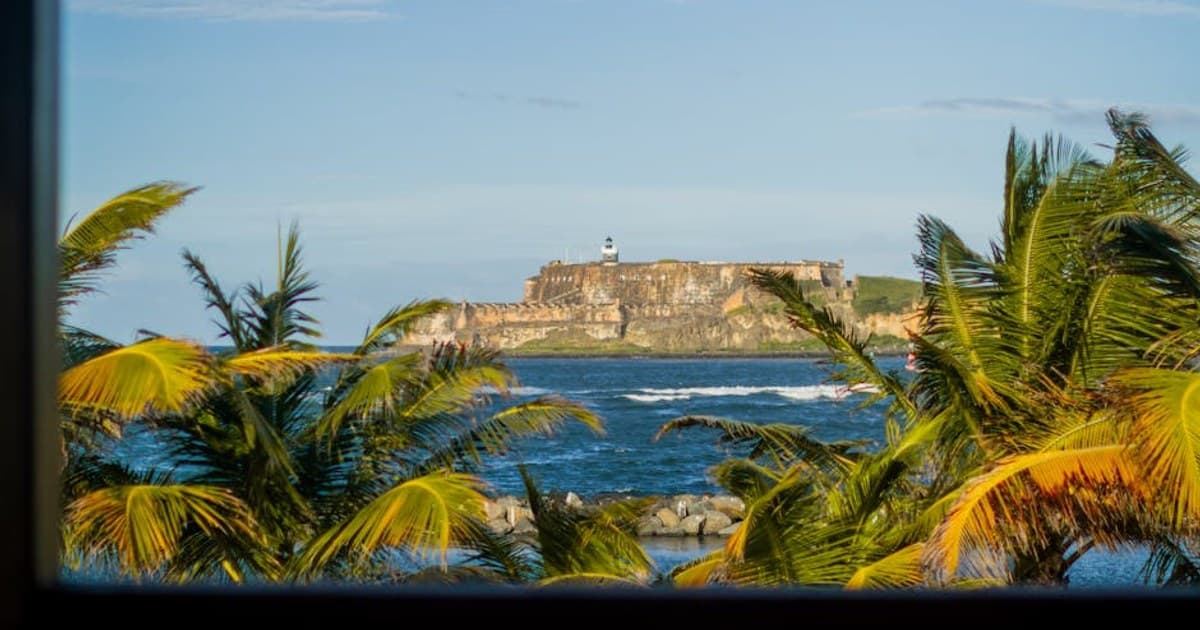 Cannabis Delivery Services: How They Work and What to Know