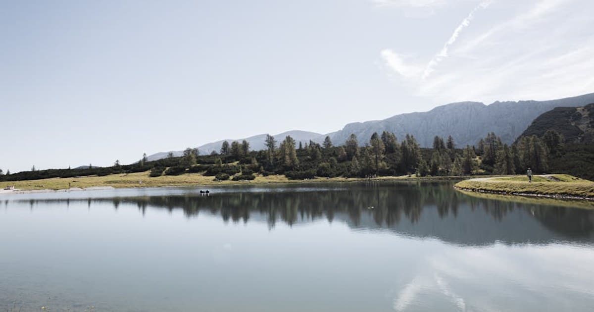 Medical vs. Recreational Dispensaries: Key Differences Explained