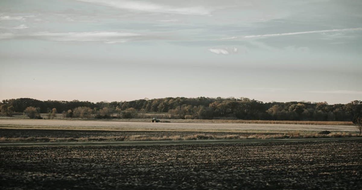 Cannabis Expungement: How Past Convictions Are Being Cleared