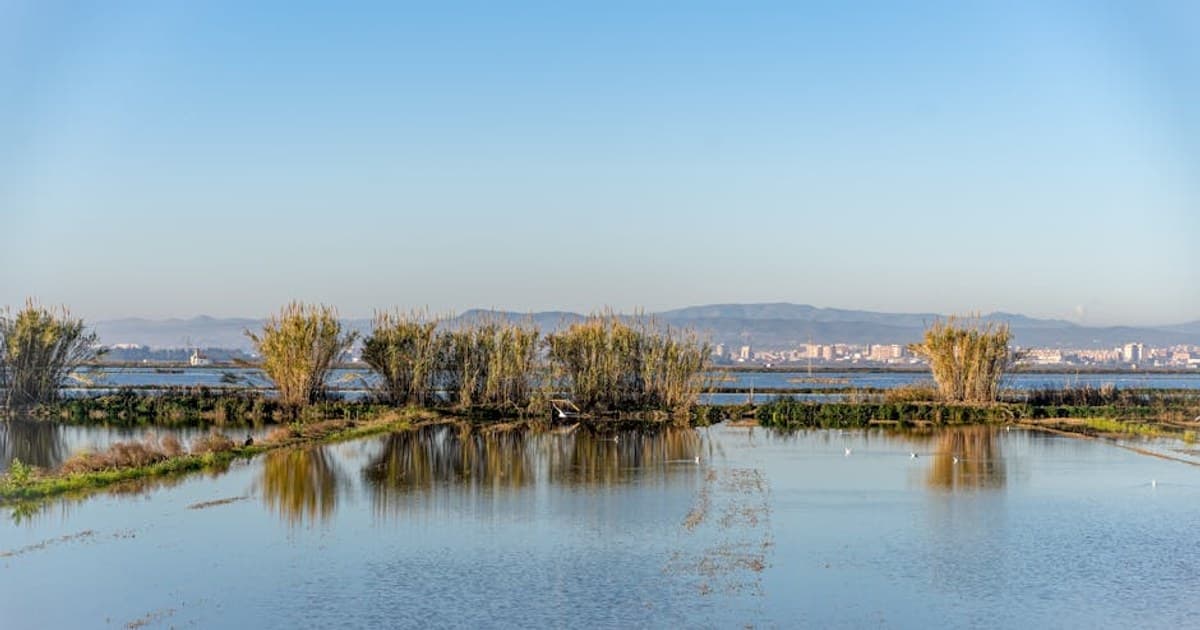 Cannabis in the Workplace: Drug Testing, Employment Law, and Your Rights