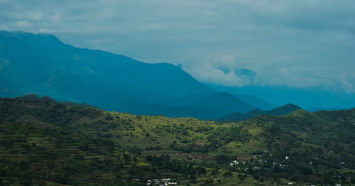 Cannabis and Travel: Can You Fly with Weed or Cross State Lines?