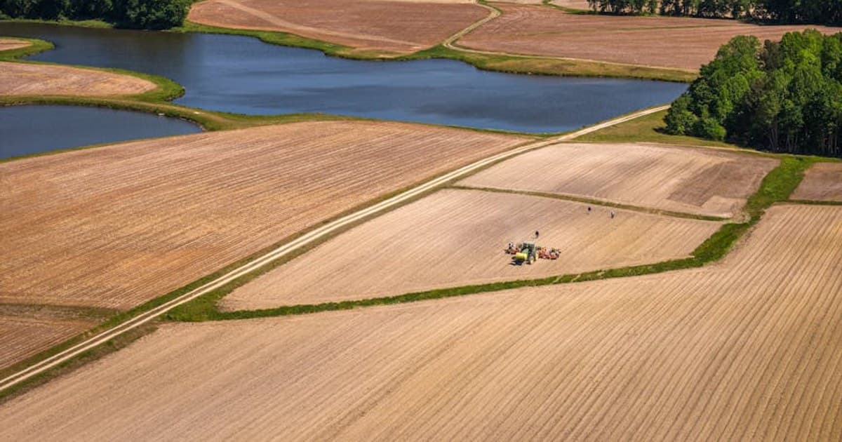 CBN for Sleep: Is It the Next Big Cannabinoid?