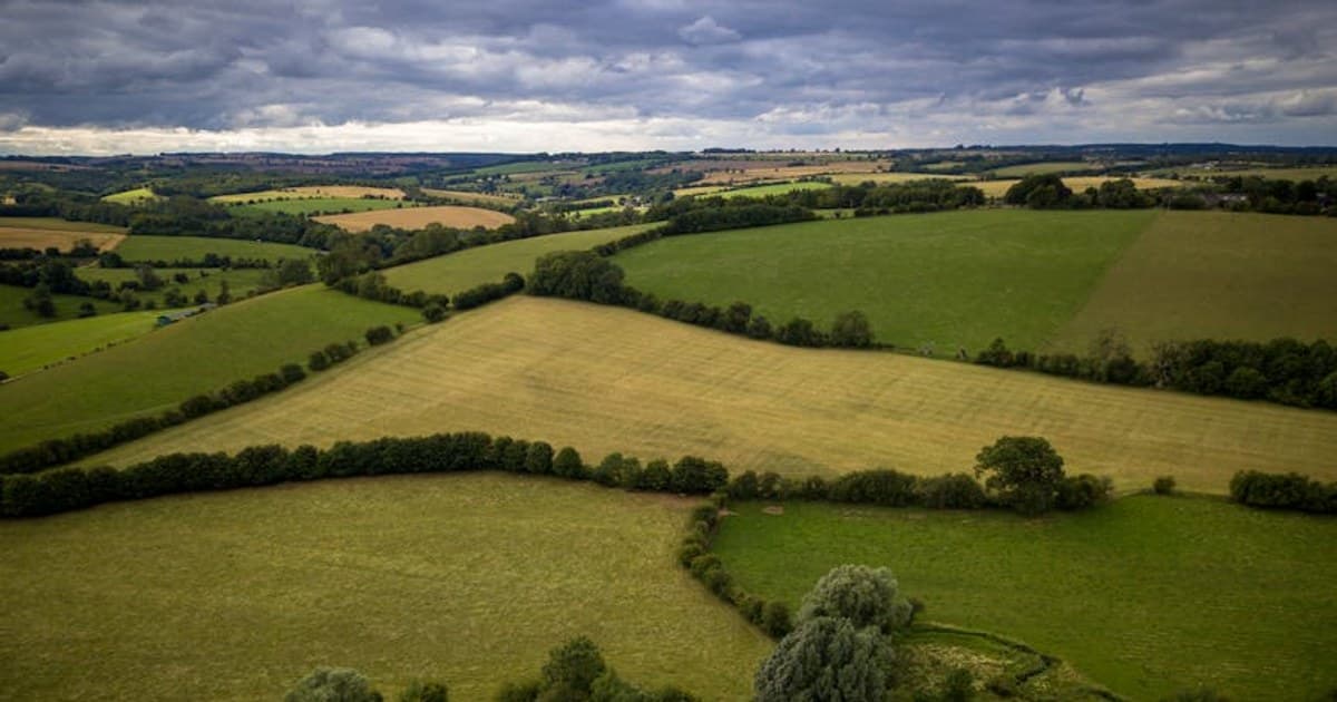Cannabis-Infused Skincare: Does It Work?