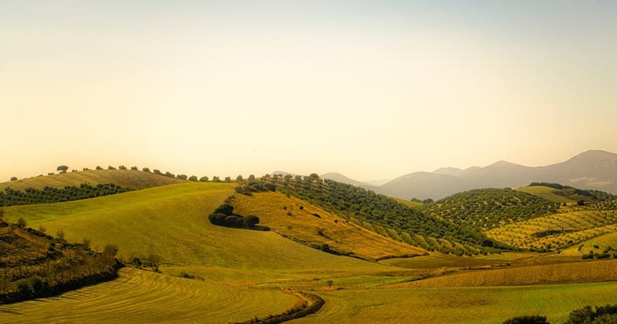 Cannabis and Women's Health: Menstrual Pain, Menopause, and Beyond