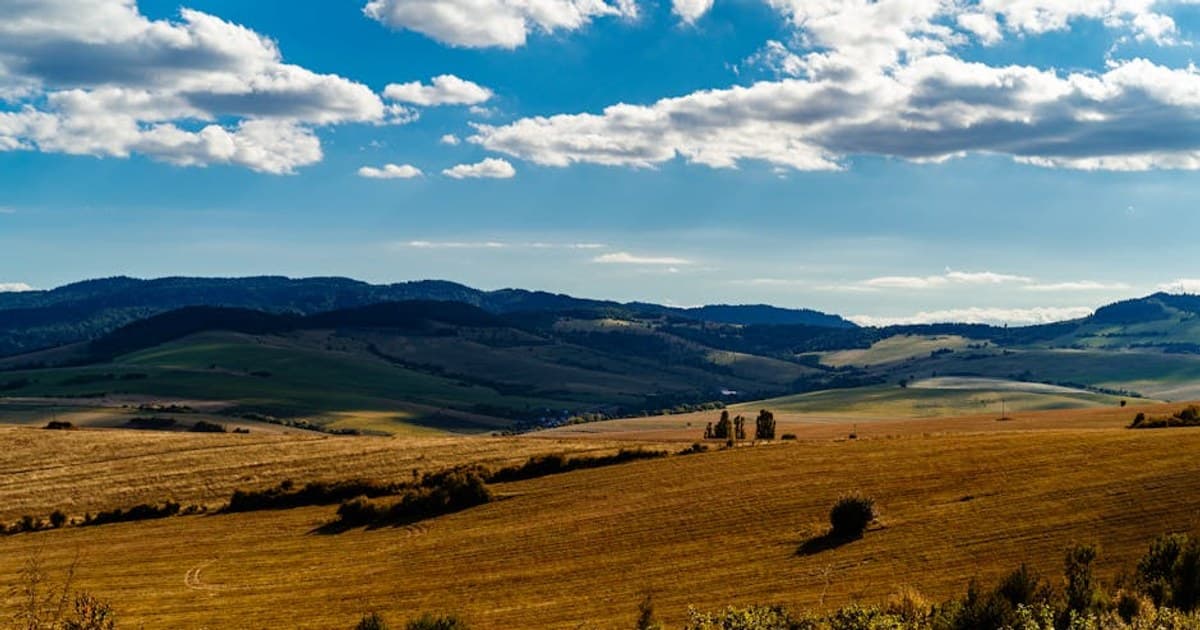 Cannabis for PTSD: Current Research and Patient Experiences