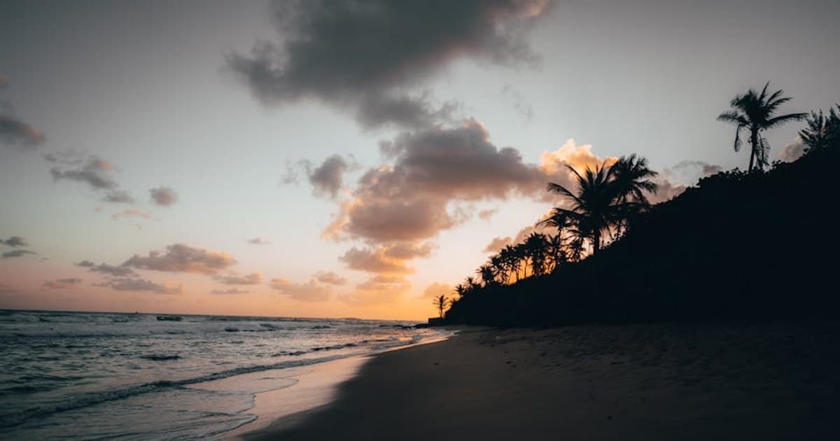 Cannabis for Seniors: A Growing Trend in Wellness and Pain Management