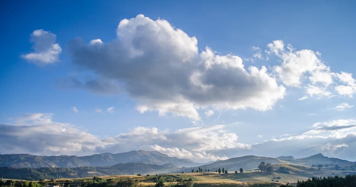 Cannabis and Driving: Laws, Risks, and What the Research Shows