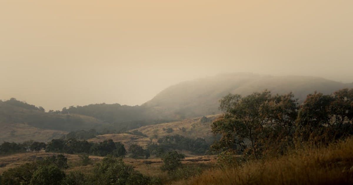 How to Read a Cannabis Product Label: Lab Results, Potency, and More