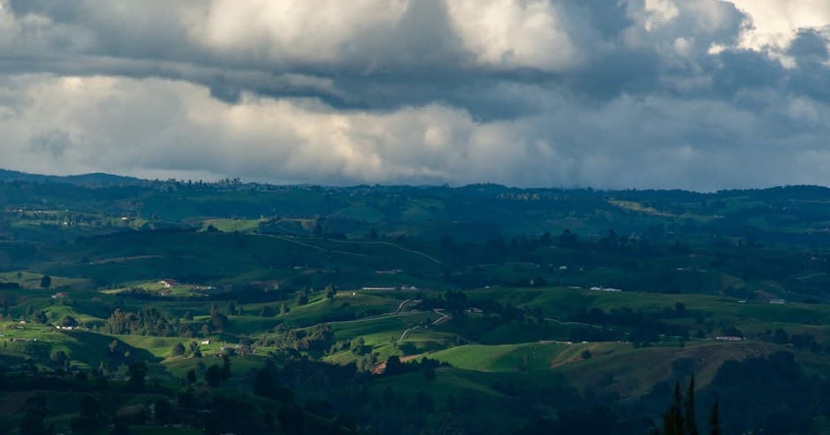 Cannabis and Drug Interactions: What to Know If You Take Medication