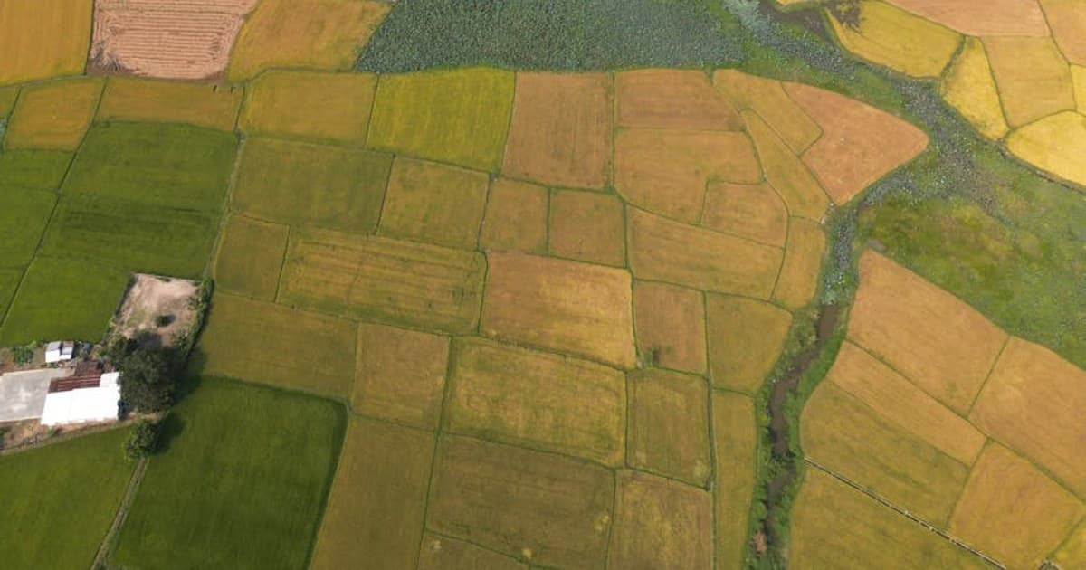 Cannabis Capsules and Softgels: A Discreet, Dose-Controlled Option