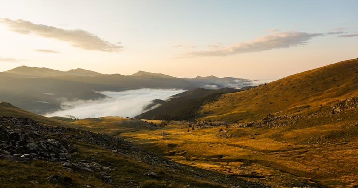 Pre-Rolls Explained: Why They're the Fastest-Growing Cannabis Category