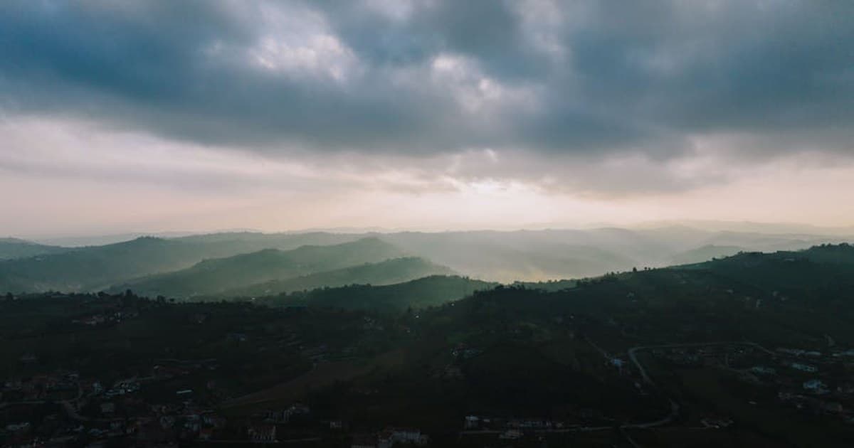 Cannabis Concentrates and Extracts: A Beginner's Overview